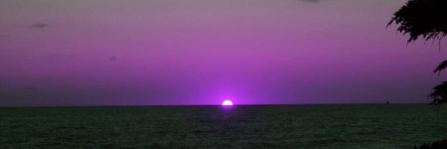JadeCroghan_'s profile banner image