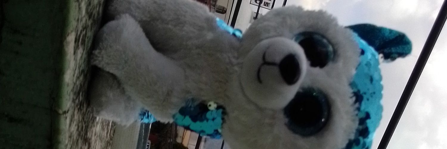 DanielM75221565's profile banner image