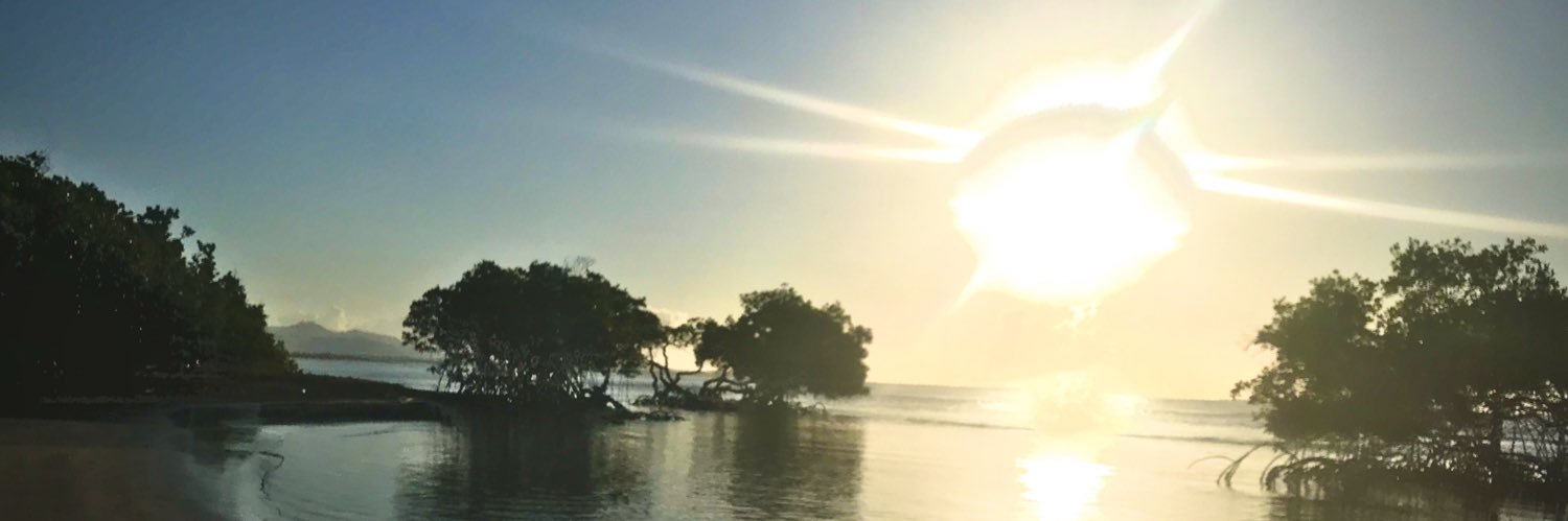 orlytorres's profile banner image