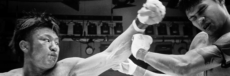 Lethwei World banner