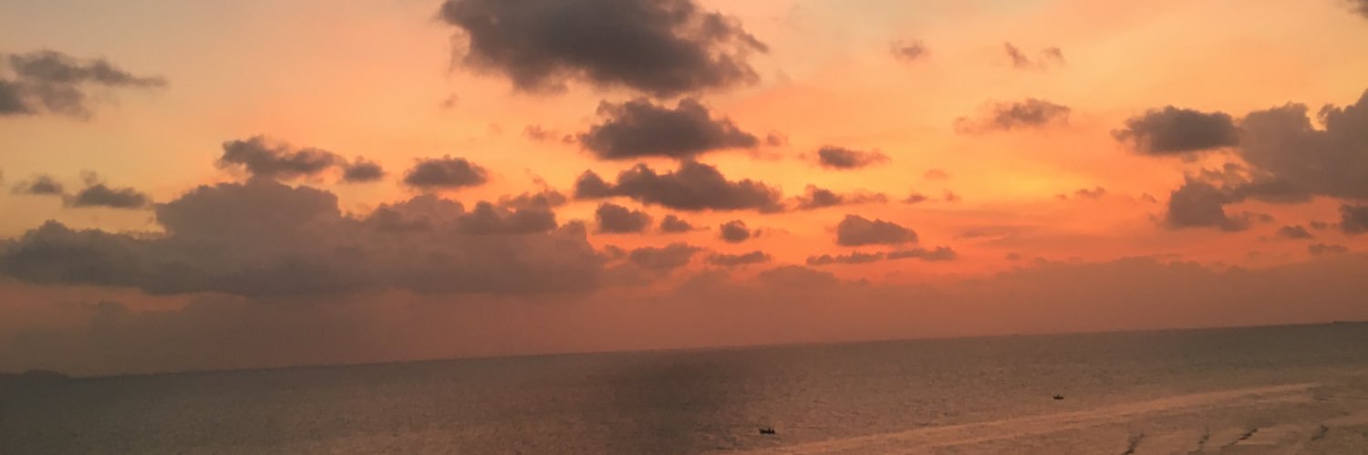 PetitLeaa's profile banner image