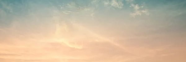 Buglife banner