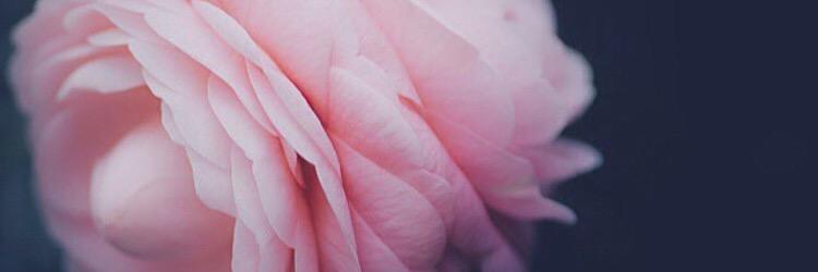 noeliavaron's profile banner image