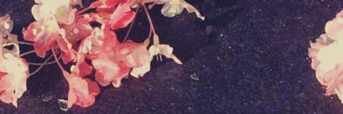Ygeeen2's profile banner image