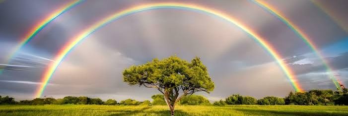Marvel's of Nature banner