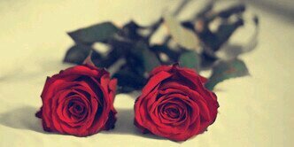 326236's profile banner image