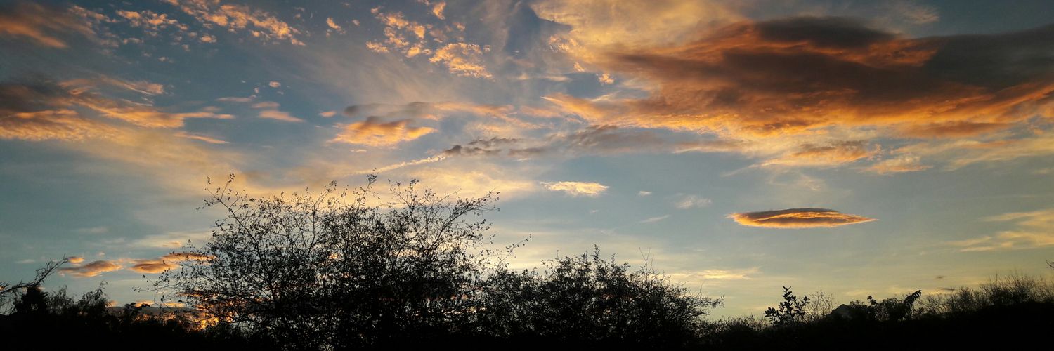 𝑲𝒆𝒚 🐱 cat for cash banner