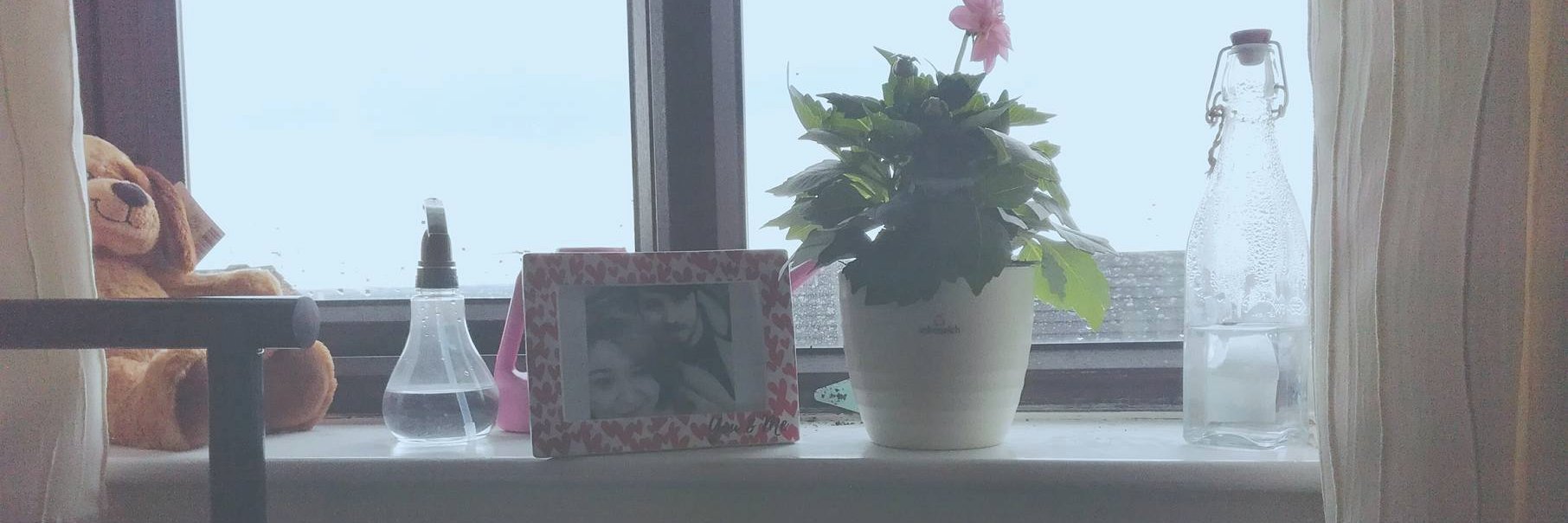 Benjamin Williams banner