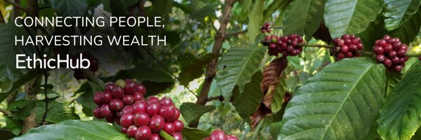 EthicHub Profile Banner
