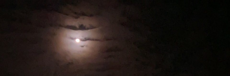 بدر سعد السعيدي . banner