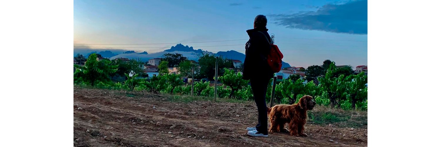 Mal pero acostumbrada 🌹 banner