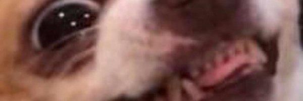 puppercore Profile Banner