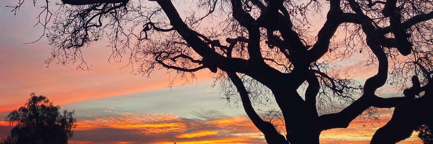 masontabatha's profile banner image