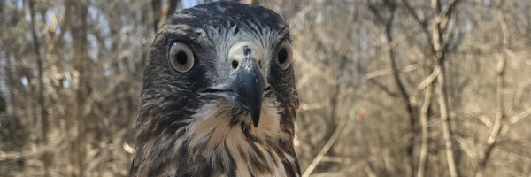AudubonMidAtl Profile Banner