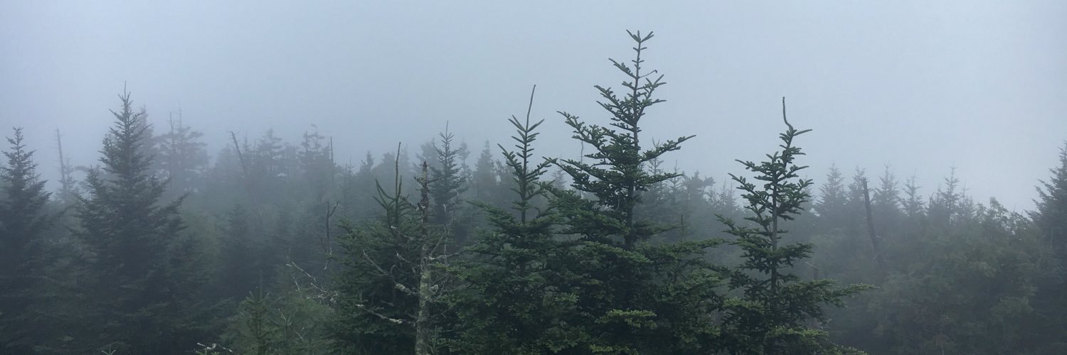 _BrielleMarie_'s profile banner image