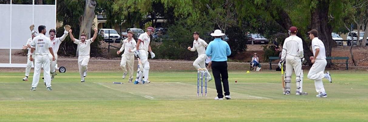 Jamie Panelli banner