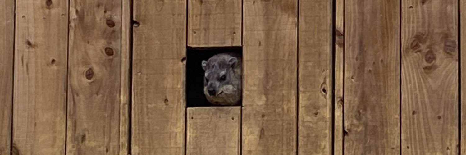 Flibbeldy Wobble banner