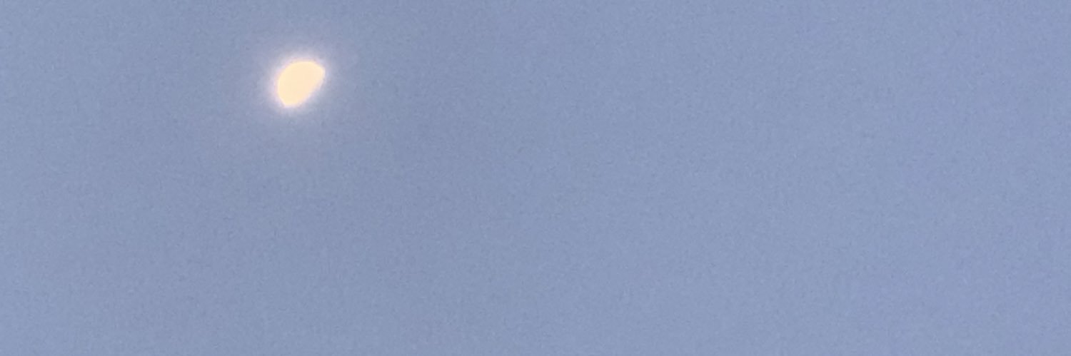 HUSTLEMAN🕸️ banner