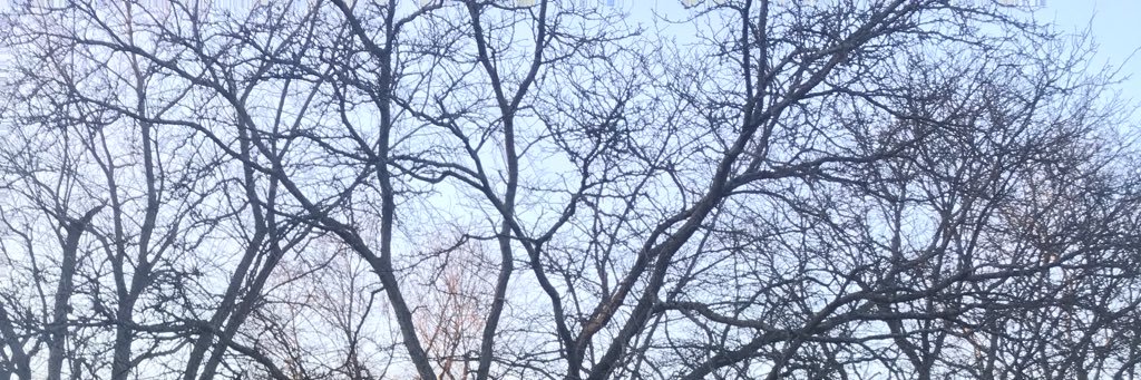 JuliaaLeon_'s profile banner image