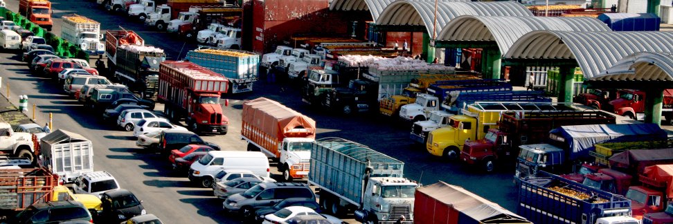 TRANSPORTISTAS banner