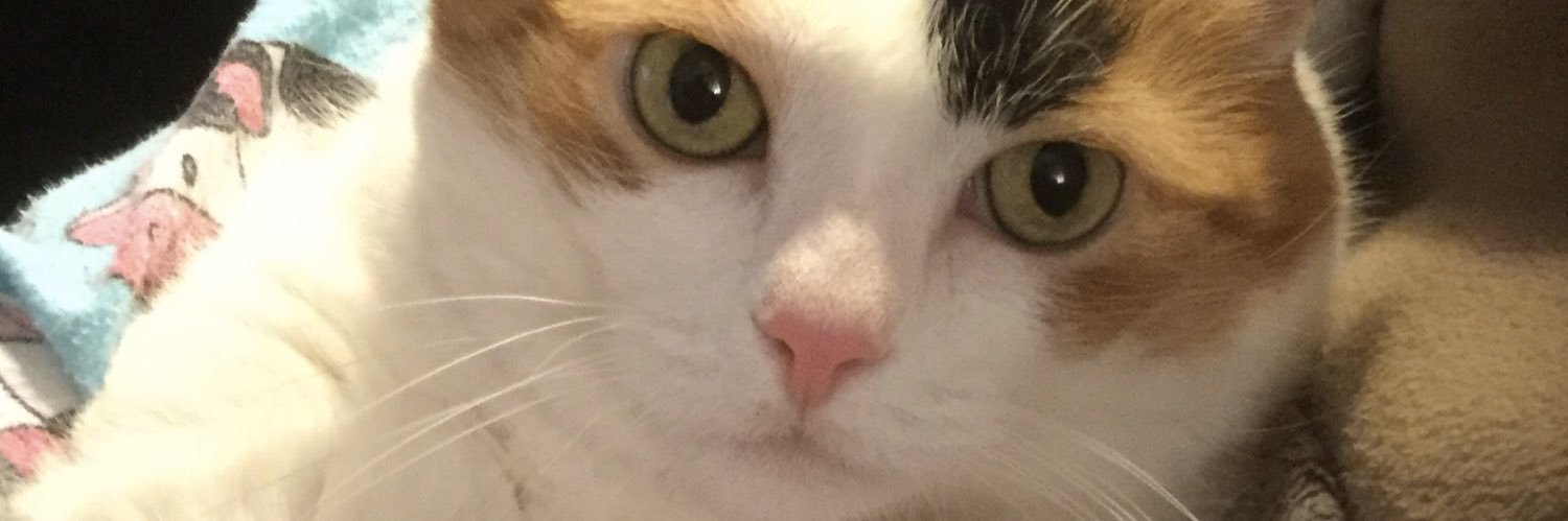 Rsteandric's profile banner image