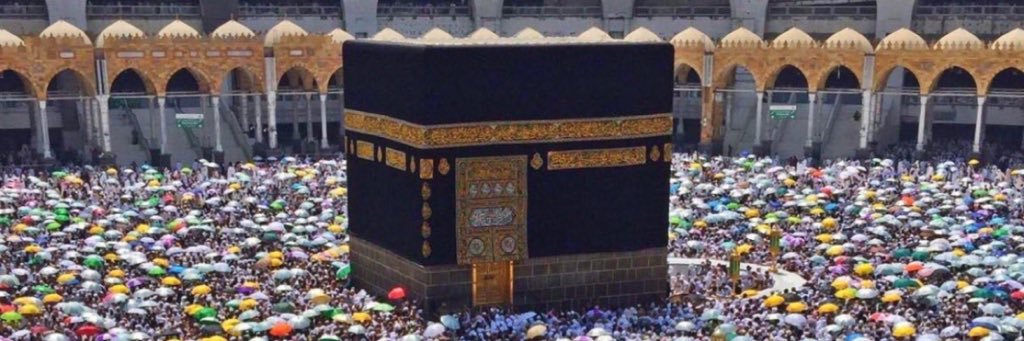 هدهد سليمان🌹🌹 banner
