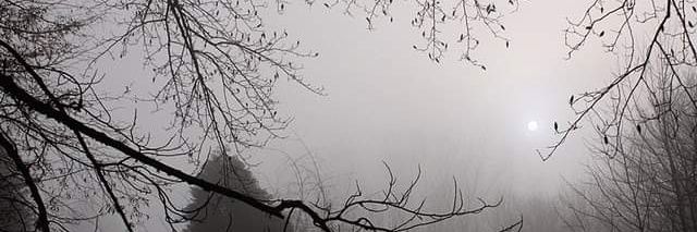 Southern Witch banner