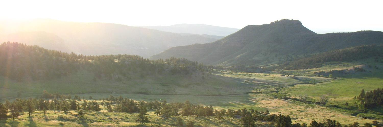 Together4Boulder banner