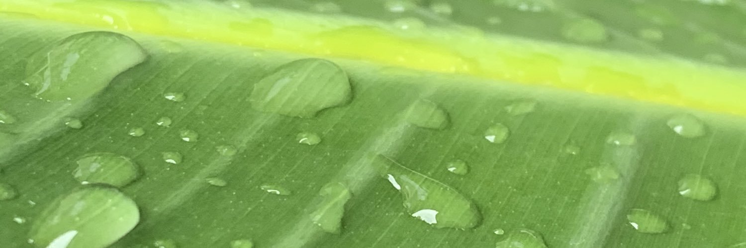BuckeyeNancyS's profile banner image