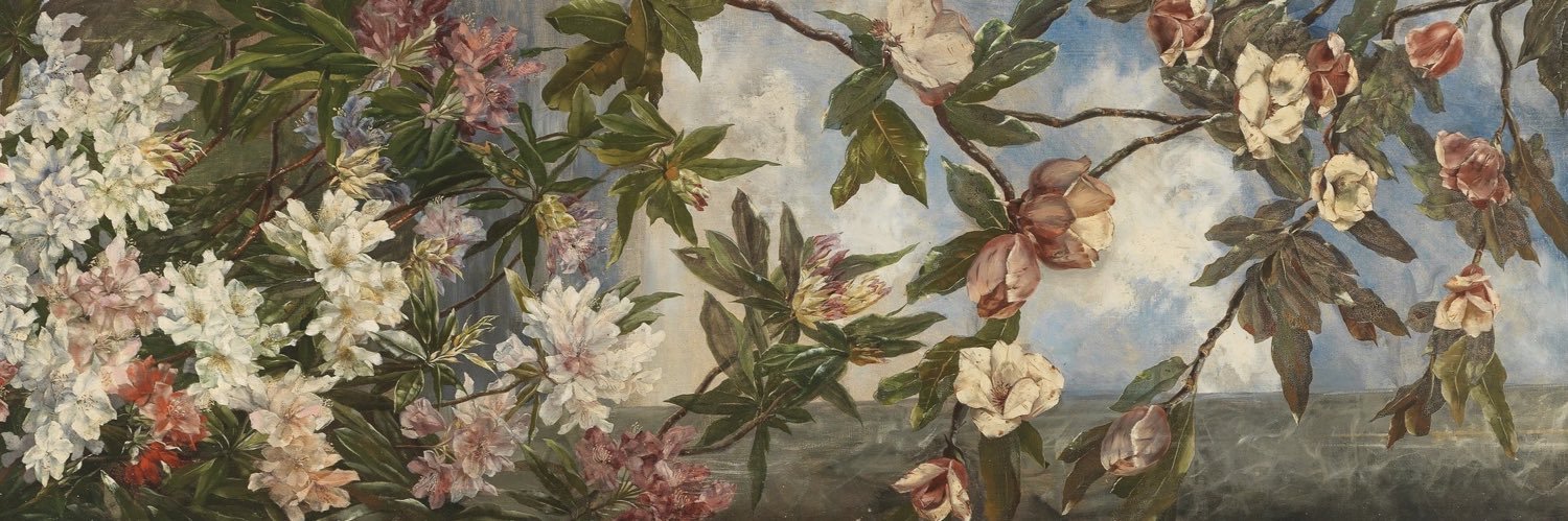 estheralmd's profile banner image