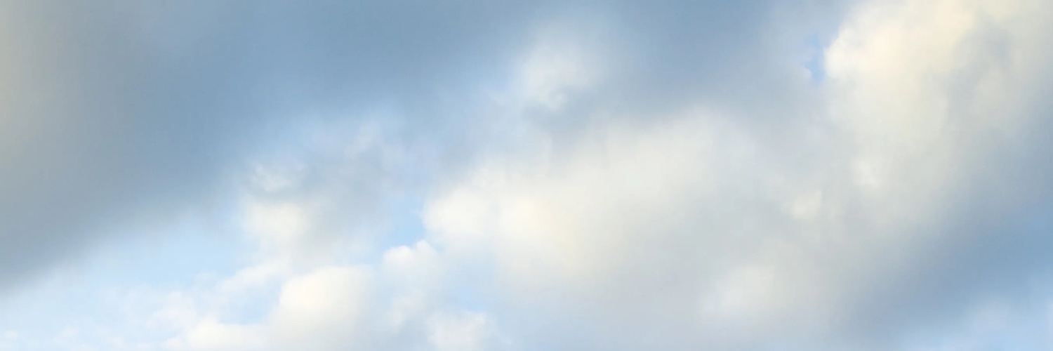 Sattown's banner