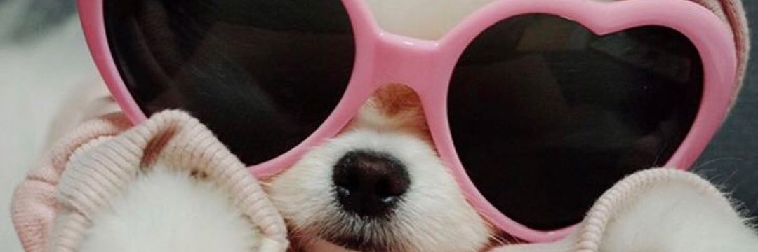 sarahfalkkk's profile banner image