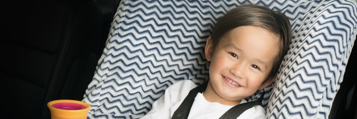 Niko Car Seat Cover banner