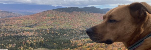 JamieParnes Profile Banner