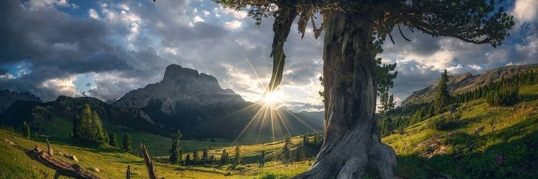 Juan José Persol banner