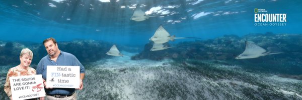 McDPS08 Profile Banner