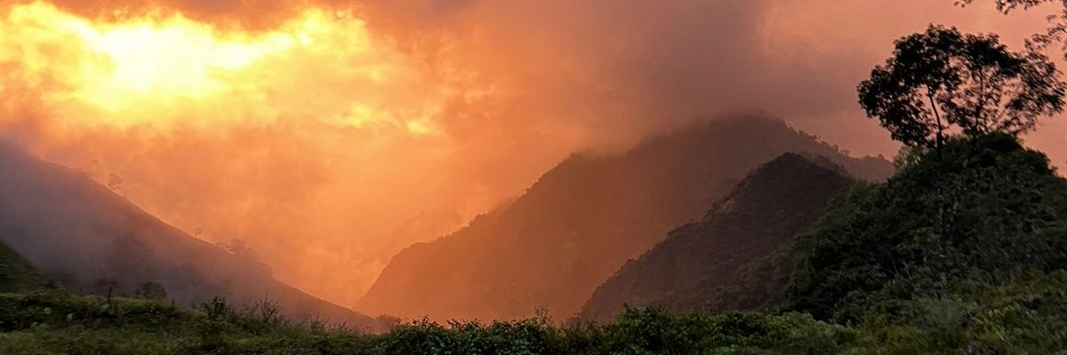 AngelaMaPT's profile banner image