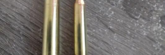 GoIdDingIeberry banner