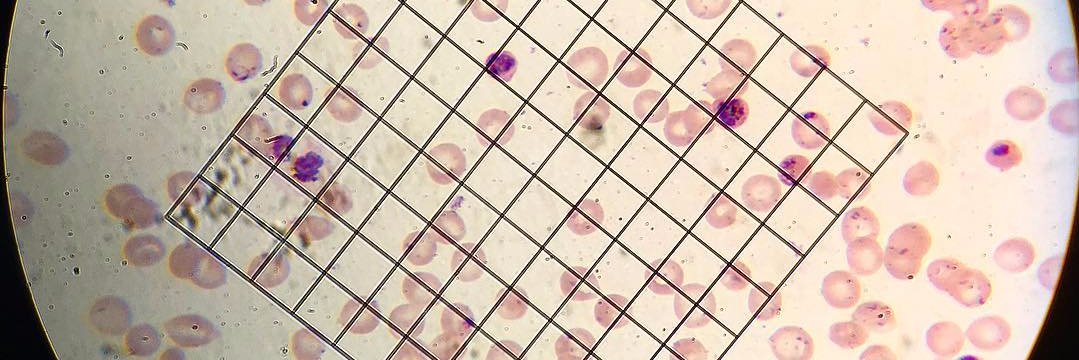 Feeney Lab banner