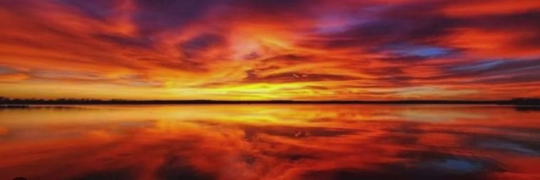 James Phillips banner