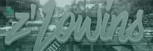 ▪ z'LowiNs Clan ▪ banner