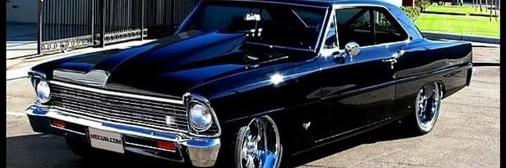 Blanch4ever's profile banner image