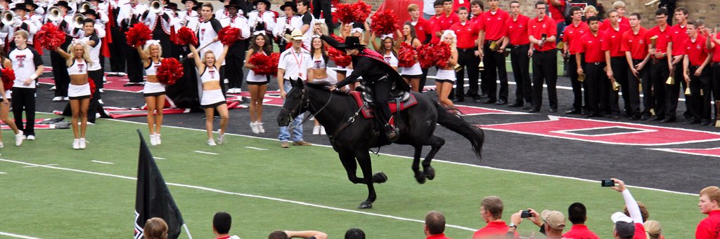 🌵Wreck'Em🌵 banner