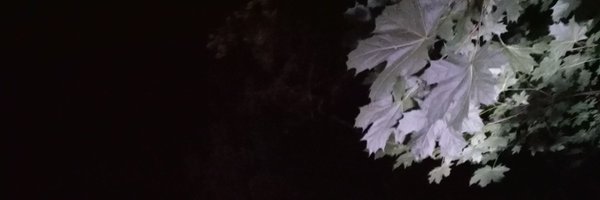 RobertaBianco0 Profile Banner