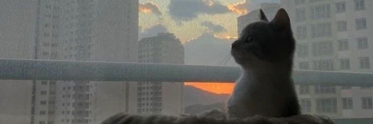 Poder Latino🍆🔥 banner