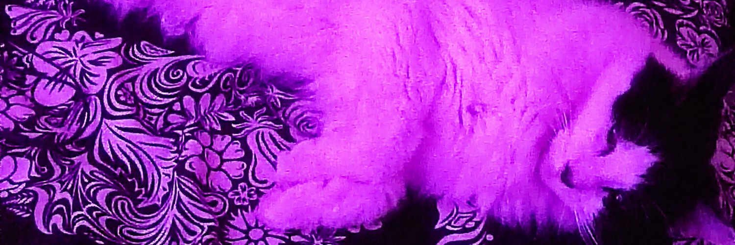Twitter banner for @Musstta01