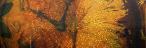 Sandra 🇵🇪 banner