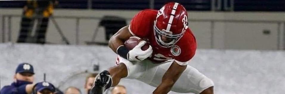 kamehamala Harris banner