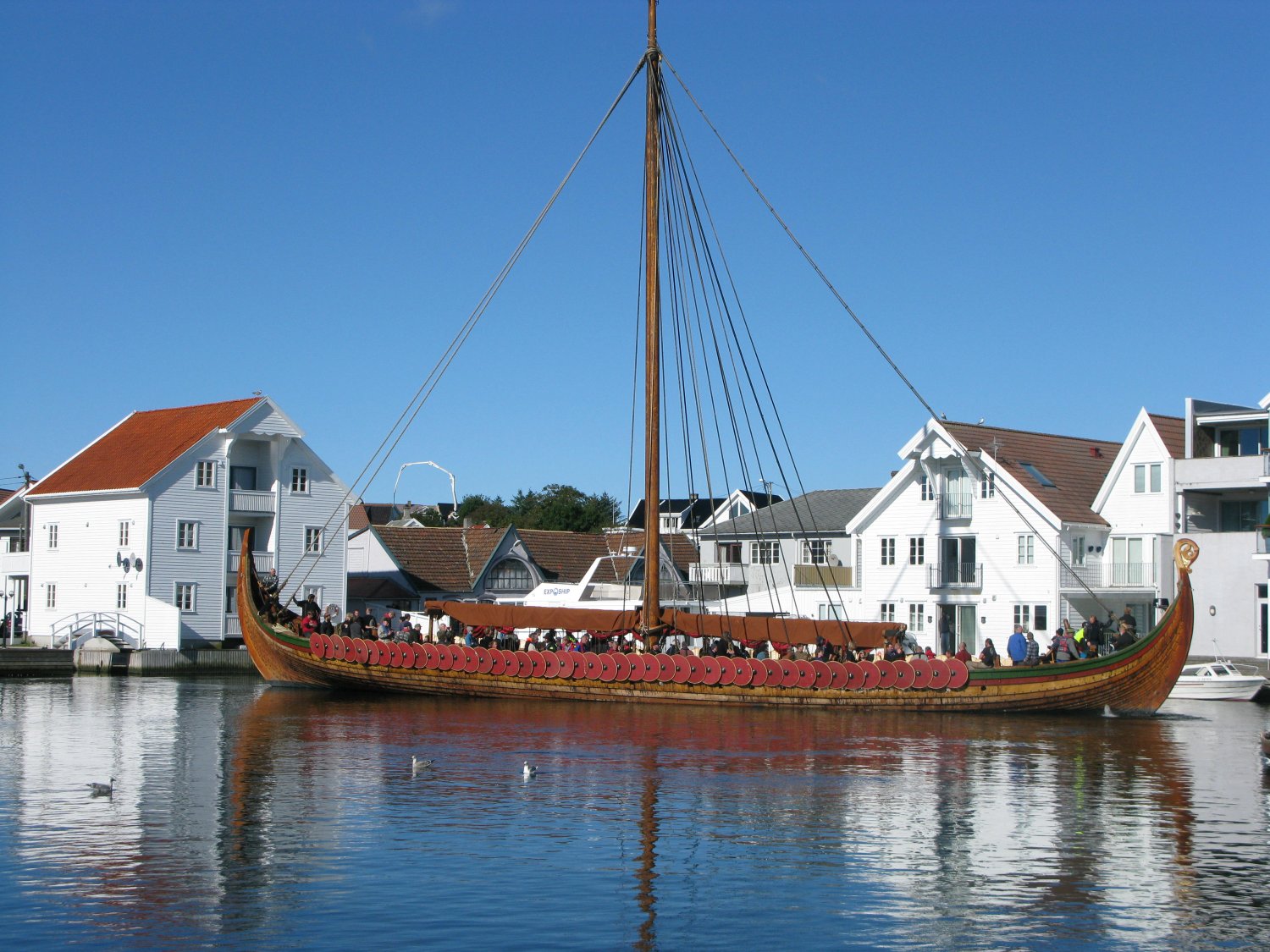 CViking banner