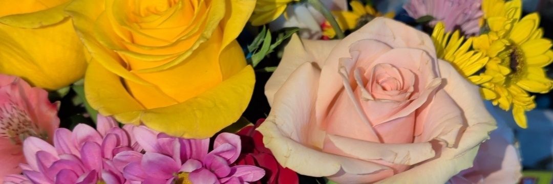 RandiIsABoss's profile banner image